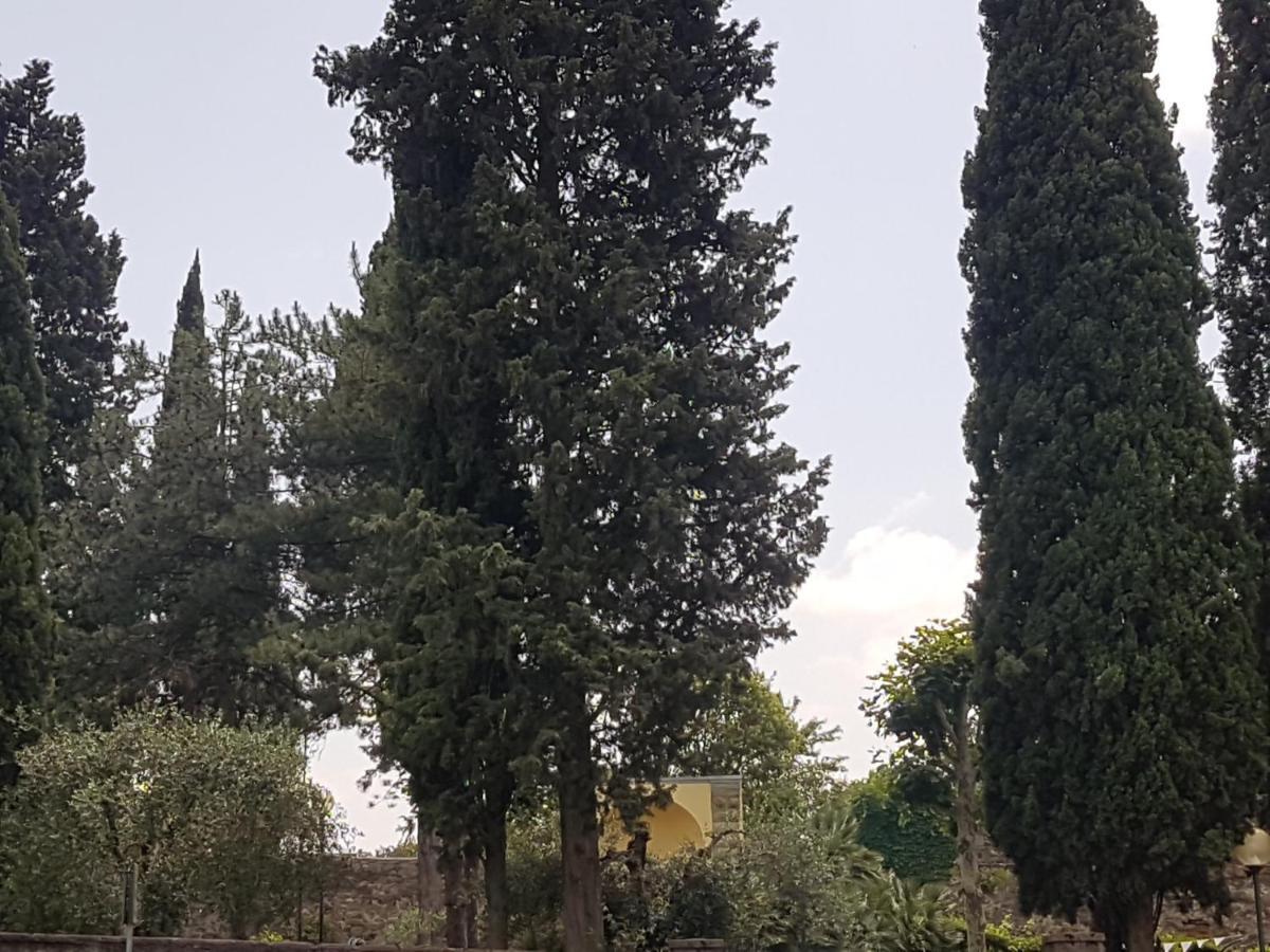 Piccolo Poggio Apartments Firenze Eksteriør billede